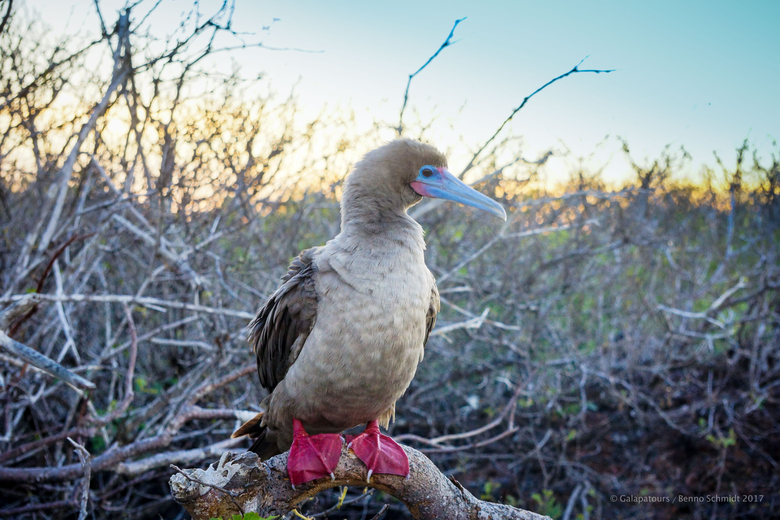 2017-02 Northwest Route on SAMBA (137 of 298)