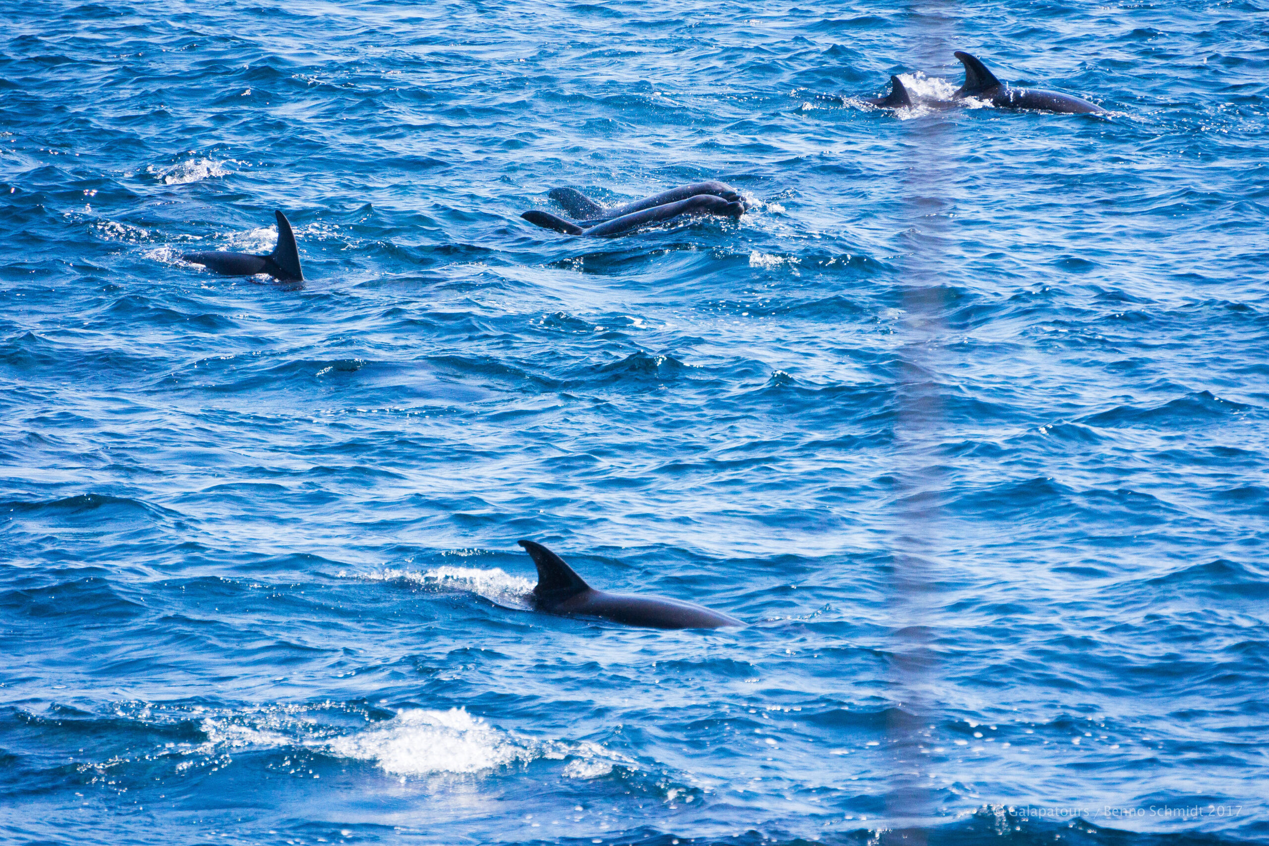 2017-02 Northwest Route on SAMBA (183 of 298)