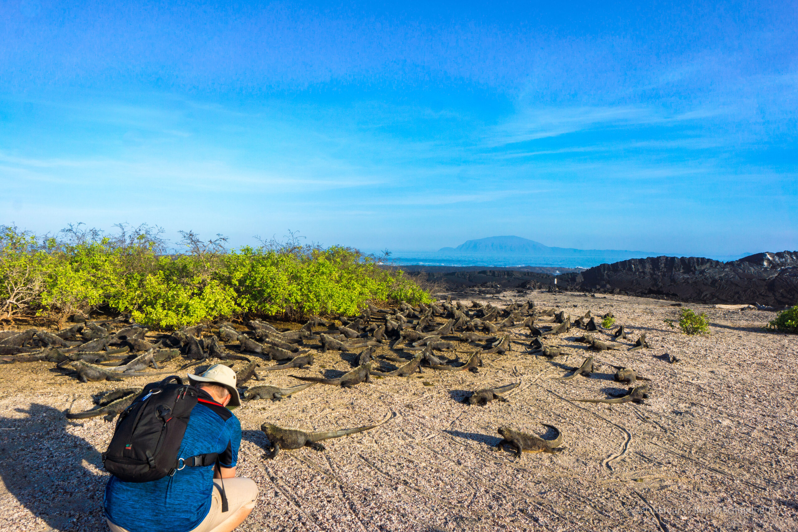 2017-02 Northwest Route on SAMBA (240 of 298)