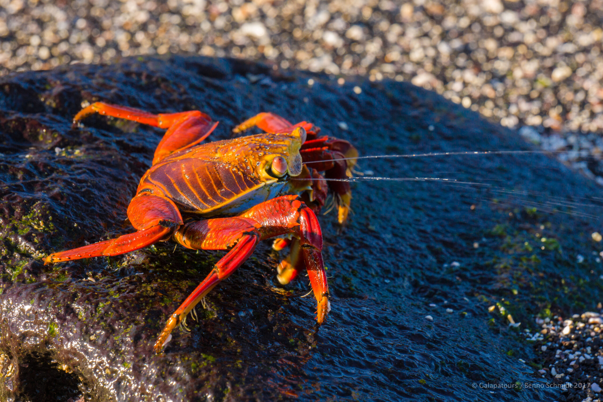 2017-02 Northwest Route on SAMBA (247 of 298)