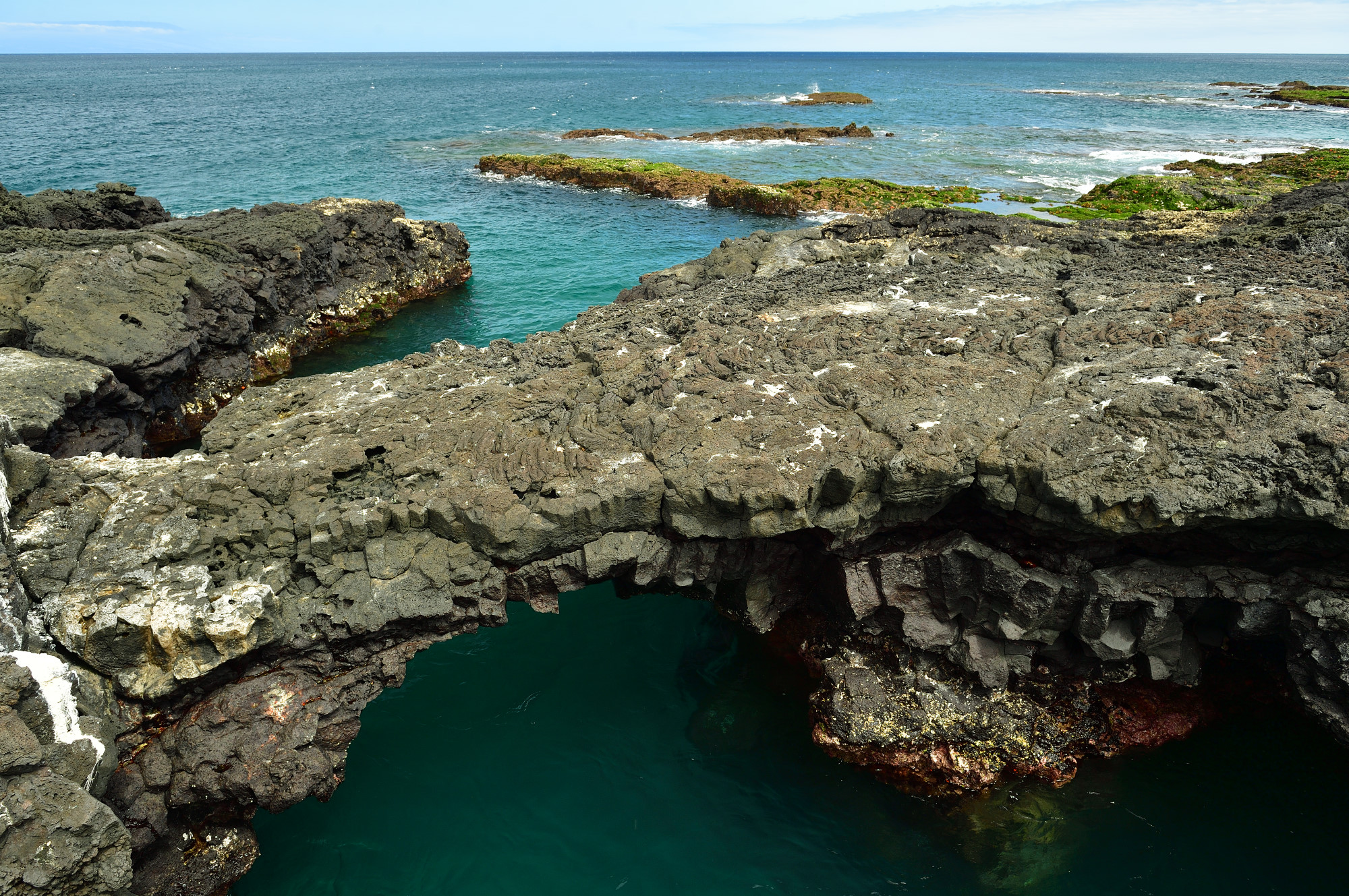 AY5_0137_20161017_5034_Galapagos_YvesAdams